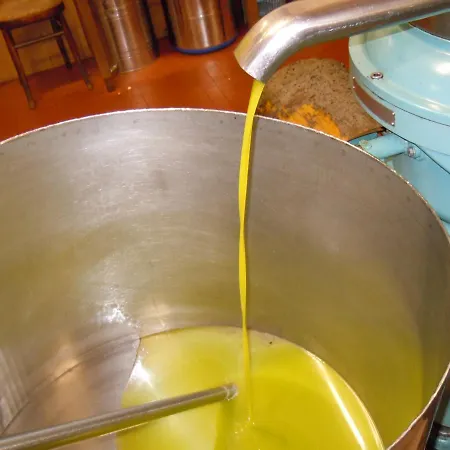 Atlas Hotel Cattolica